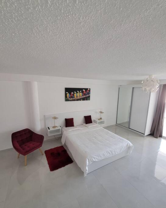 Hello Guyane, Suite Collection Caiena Exterior foto