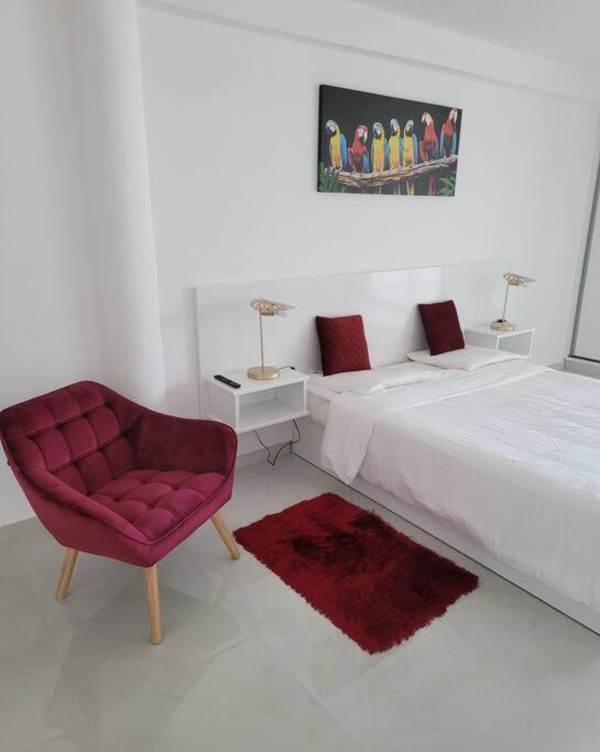 Hello Guyane, Suite Collection Caiena Exterior foto