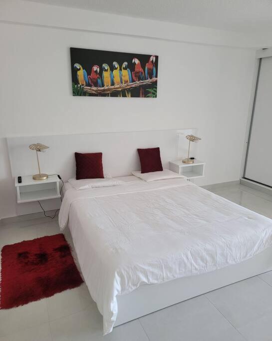 Hello Guyane, Suite Collection Caiena Exterior foto